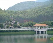 大埔天气预报30天